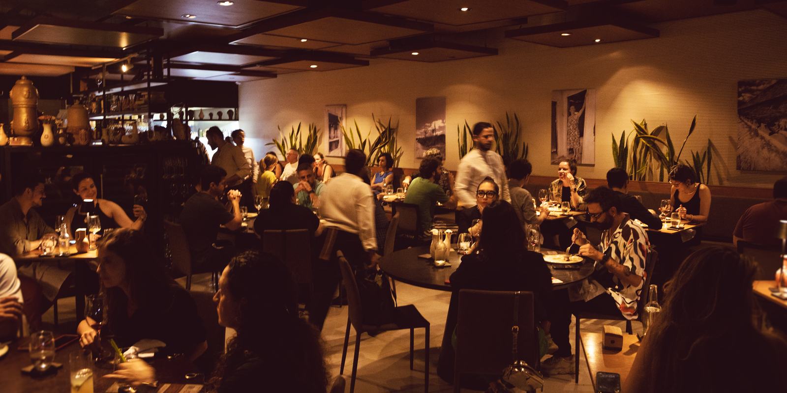 The dining room at Pacato